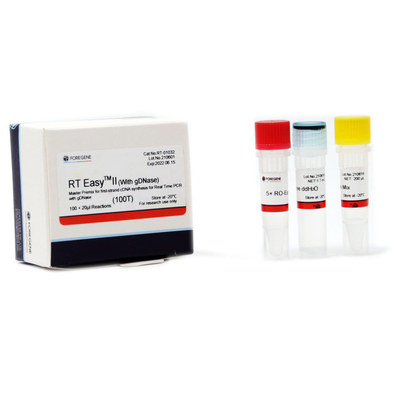 RT Easy II Master Premix Untuk Sintesis CDNA Untai Pertama Dengan GDNase