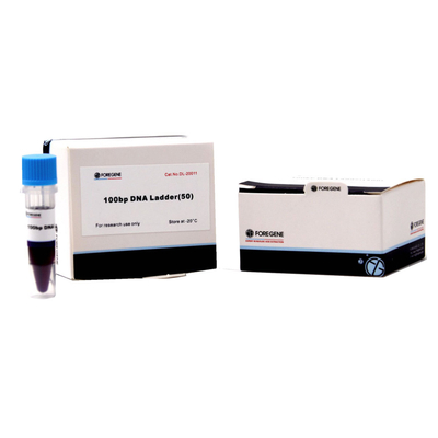 50 Bp Sampai 15 Kb Penanda DNA Dan Tangga Untuk Elektroforesis Gel Agarosa