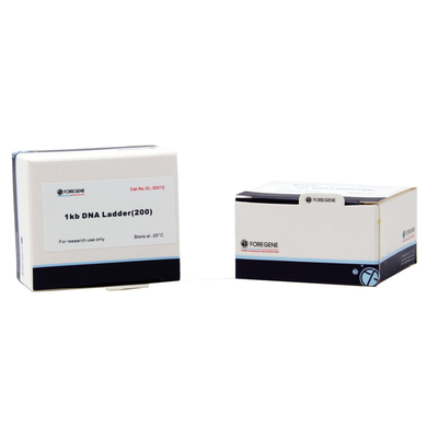 Elektroforesis Gel Agarose Menggunakan Tangga DNA Dengan Ukuran Mulai Dari 1 Kb Sampai 8 Kb