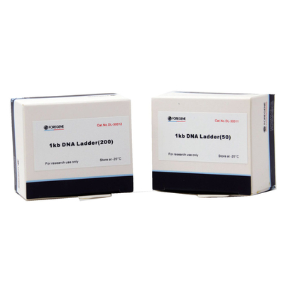 Elektroforesis Gel Agarose Menggunakan Tangga DNA Dengan Ukuran Mulai Dari 1 Kb Sampai 8 Kb