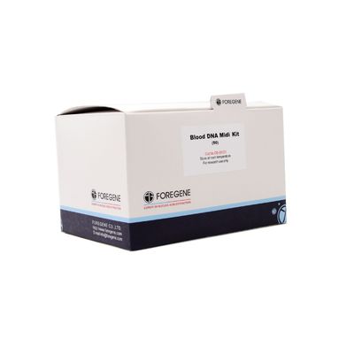 Lab Reagen Blood DNA Midi Kit Kit Isolasi DNA Untuk Pemurnian DNA Genom