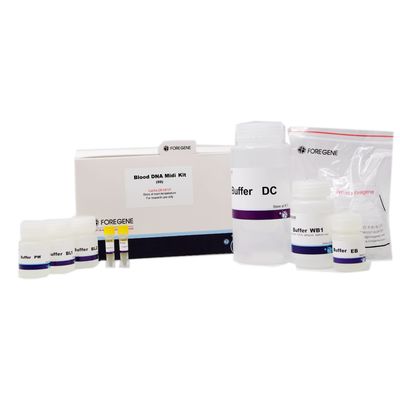 Lab Reagen Blood DNA Midi Kit Kit Isolasi DNA Untuk Pemurnian DNA Genom