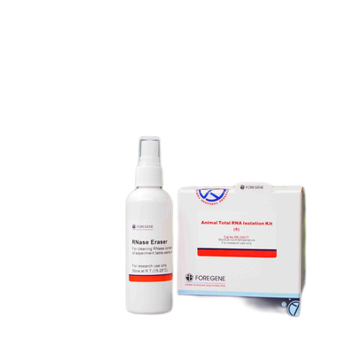 Penghapus RNase Dengan Kit Isolasi RNA Memakai Sarung Tangan Untuk Membersihkan Permukaan Kerja Memenuhi Sistem Manajemen Mutu Total