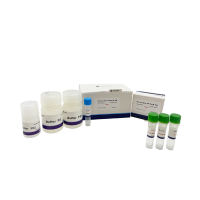 Plant Leaf Direct PCR Plus Kit UNG PCR Kit DNA Polymerase Lysis Buffer Tanaman Daun Untuk Tanaman Transgenik