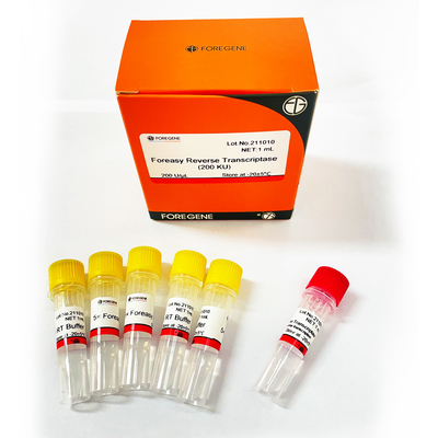 Foreasy M-MLV Reverse Transcriptase Untuk CDNA Synthesis Primer Extension PCR Kit Dengan DNA Polymerase