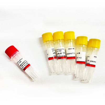 Foreasy M-MLV Reverse Transcriptase Untuk CDNA Synthesis Primer Extension PCR Kit Dengan DNA Polymerase