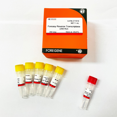 Foreasy M-MLV Reverse Transcriptase Untuk CDNA Synthesis Primer Extension PCR Kit Dengan DNA Polymerase