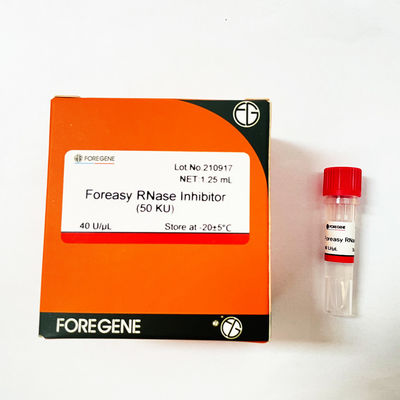 Perlindungan RNA Foreasy RNase Inhibitor Untuk Kit Transkripsi Sistem Transkripsi Terbalik