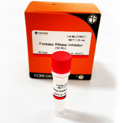 Perlindungan RNA Foreasy RNase Inhibitor Untuk Kit Transkripsi Sistem Transkripsi Terbalik