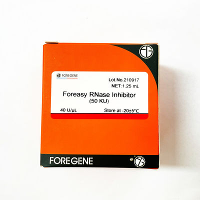 Perlindungan RNA Foreasy RNase Inhibitor Untuk Kit Transkripsi Sistem Transkripsi Terbalik