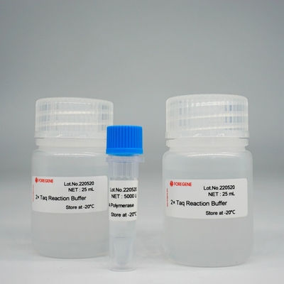 Foreasy Taq DNA Polymerase HotStar Taq Polymerase Kit Untuk PCR/QPCR