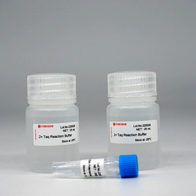 Foreasy Taq DNA Polymerase HotStar Taq Polymerase Kit Untuk PCR/QPCR