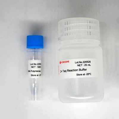 Foreasy Taq DNA Polymerase HotStar Taq Polymerase Kit Untuk PCR/QPCR