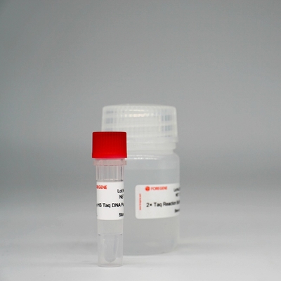 Foreasy HS Taq DNA Polymerase Campuran Enzim Super HotStar Taq Untuk PCR / QPCR