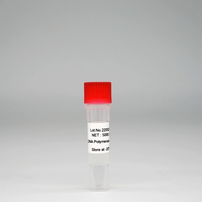 Foreasy HS Taq DNA Polymerase Campuran Enzim Super HotStar Taq Untuk PCR / QPCR