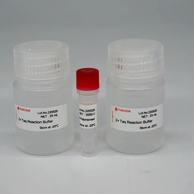 Foreasy HS Taq DNA Polymerase Campuran Enzim Super HotStar Taq Untuk PCR / QPCR