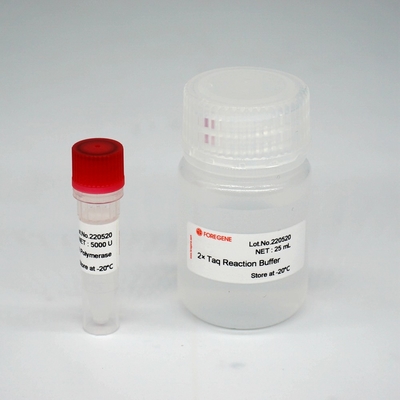 Foreasy HS Taq DNA Polymerase Campuran Enzim Super HotStar Taq Untuk PCR / QPCR