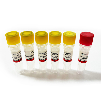 Foreasy Generasi Baru M-MLV Reverse Transcriptase RT Enzyme Foreasy