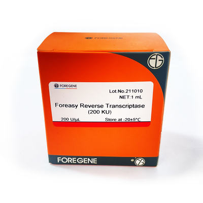 Foreasy Generasi Baru M-MLV Reverse Transcriptase RT Enzyme Foreasy