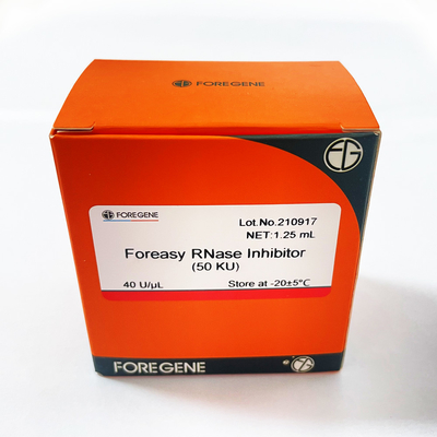 Pabrik IVD China Produksi Tinggi Foreasy RNase Inhibitor Untuk Perlindungan RNA