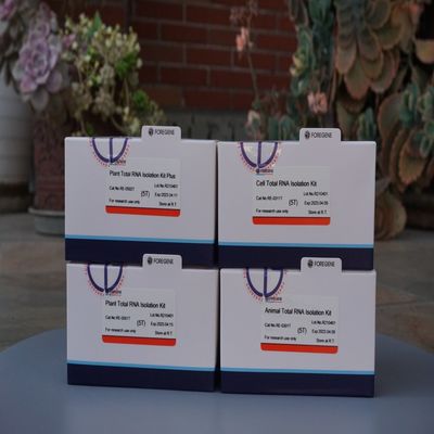 Hapus Air Solid Surface RNase Contamination RNase Eraser Dengan Cepat Secara Efektif
