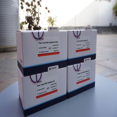 Hapus Air Solid Surface RNase Contamination RNase Eraser Dengan Cepat Secara Efektif