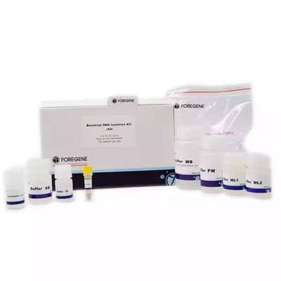 Kit Isolasi DNA Bakteri Laboratorium Kit Pemurnian Ekstraksi DNA Bakteri