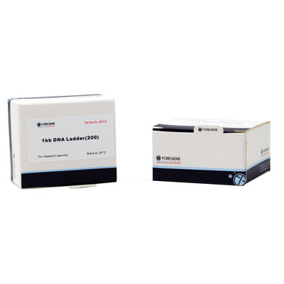 DNA Marker 2000 100 Tes 500 L Kemasan 100bp-2000bp Untuk Elektroforesis