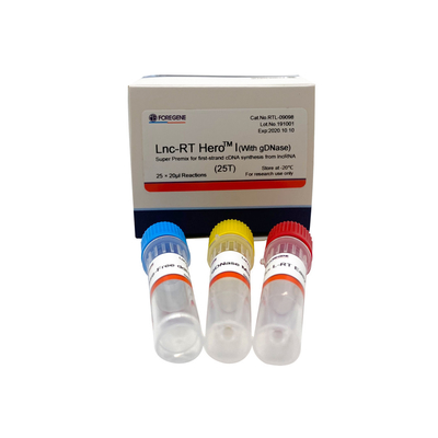 Lnc-RT HeroTM I(Dengan gDNase) Super Premix untuk sintesis cDNA untai pertama dari lncRNA Cat.No.RTL-09098/09099