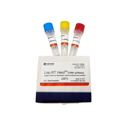 Lnc-RT HeroTM I(Dengan gDNase) Super Premix untuk sintesis cDNA untai pertama dari lncRNA Cat.No.RTL-09098/09099