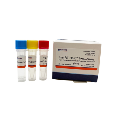 Lnc-RT HeroTM I(Dengan gDNase) Super Premix untuk sintesis cDNA untai pertama dari lncRNA Cat.No.RTL-09098/09099