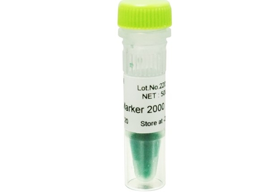 2000bp DNA Marker Agarose Gel PCR Kit Tangga DNA Untuk Penelitian