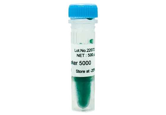 DNA Marker Agarose Gel PCR Kit DNA Ladder 5000bp Untuk Penelitian Tes Biologi Molekuler
