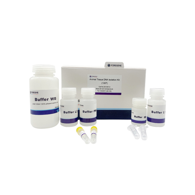 Kit Isolasi DNA Jaringan Hewan DE-05011/05012/05013 Untuk Pemurnian DNA Genomik