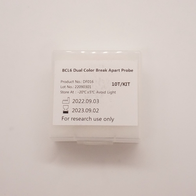 BCL6 Dual Color Break Apart Probe Untuk Mendeteksi Abnormalitas Gen BCL6 Manusia