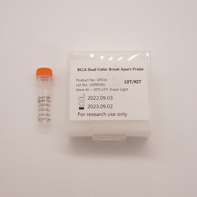 BCL6 Dual Color Break Apart Probe Untuk Mendeteksi Abnormalitas Gen BCL6 Manusia