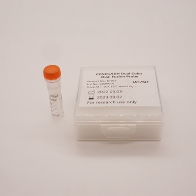 CCND1/IGH Dual Fusion Probe Kit Untuk Mendeteksi Abnormalitas Gen CCND1/IGH Manusia