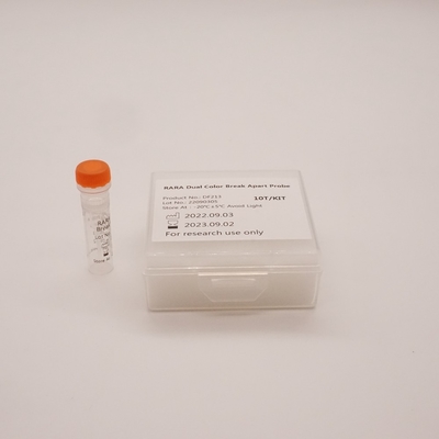 RARA Dual Color Break Apart Probe Untuk Mendeteksi Abnormalitas Gen RARA Manusia
