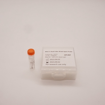 MALT1 Dual Color Break Apart Probe Untuk Mendeteksi Abnormalitas Gen MALT1 Manusia