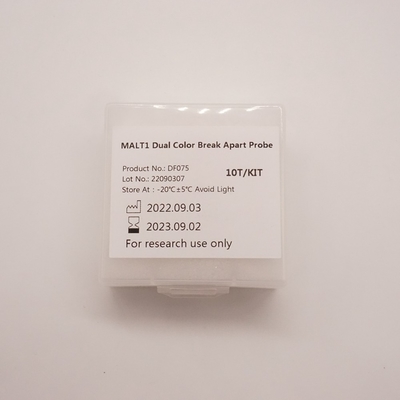 MALT1 Dual Color Break Apart Probe Untuk Mendeteksi Abnormalitas Gen MALT1 Manusia