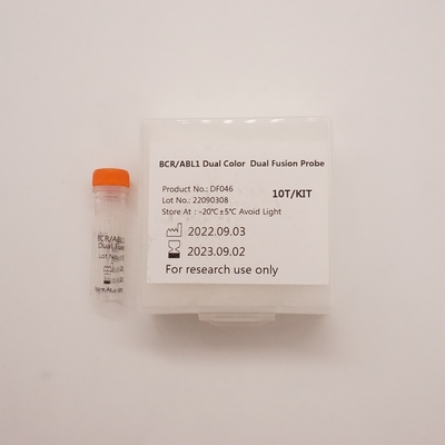 Fluoresensi Dalam Reagen Hibridisasi Situ BCR ABL1 Dual Color Dual Fusion Probe