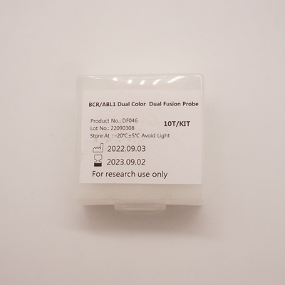 Fluoresensi Dalam Reagen Hibridisasi Situ BCR ABL1 Dual Color Dual Fusion Probe