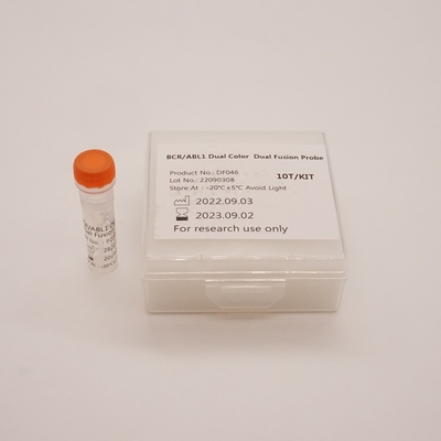 Fluoresensi Dalam Reagen Hibridisasi Situ BCR ABL1 Dual Color Dual Fusion Probe