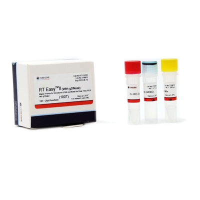 Sintesis CDNA PCR Master Premix Transkripsi Terbalik RT Easy II 50T 200T