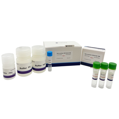 6x DNA Loading Buffer Plant Leaf Plus Kit PCR Langsung Dengan UNG