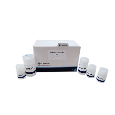 Kit Isolasi DNA FFPE Regeant Lab Cepat 50T 100T Tanpa Kontaminasi RNase