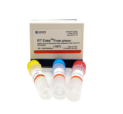 Kit Transkriptase Terbalik RT Easy II 25T Cepat Dengan DNase Untuk PCR Waktu Nyata
