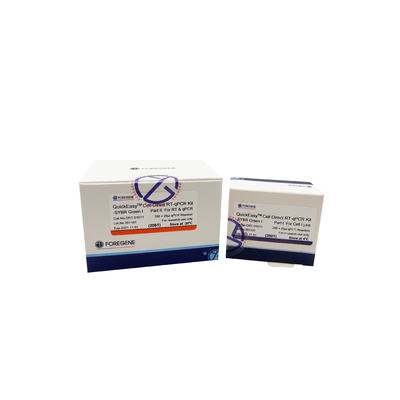 Buffer CL Satu Langkah RT QPCR Kit 200T 1000T Sel Kultur RT-QPCR Langsung