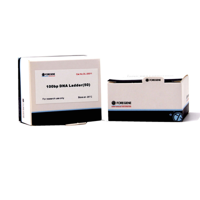 Foregene 100bp DNA Ladder PCR Kits 160 Ug/Ml Efek Pemisahan Lebih Baik