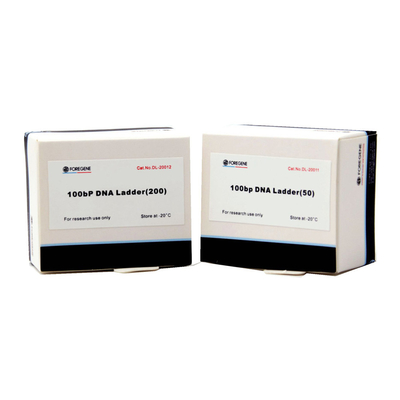 Foregene 100bp DNA Ladder PCR Kits 160 Ug/Ml Efek Pemisahan Lebih Baik